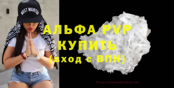 гидра Белокуриха