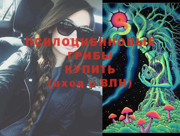 гашик Белоозёрский