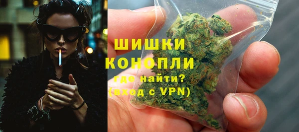 гидра Белокуриха