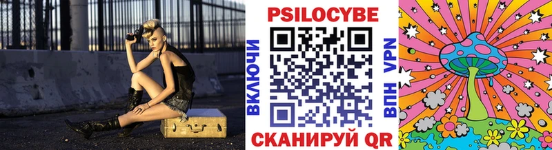 Галлюциногенные грибы Psilocybe  Видное 